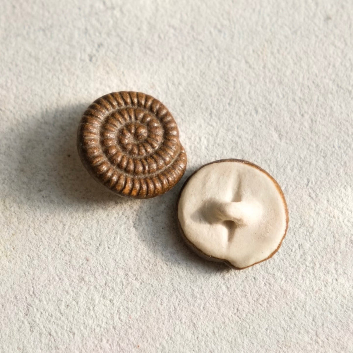 Handmade Ceramic Button Set｜Loam