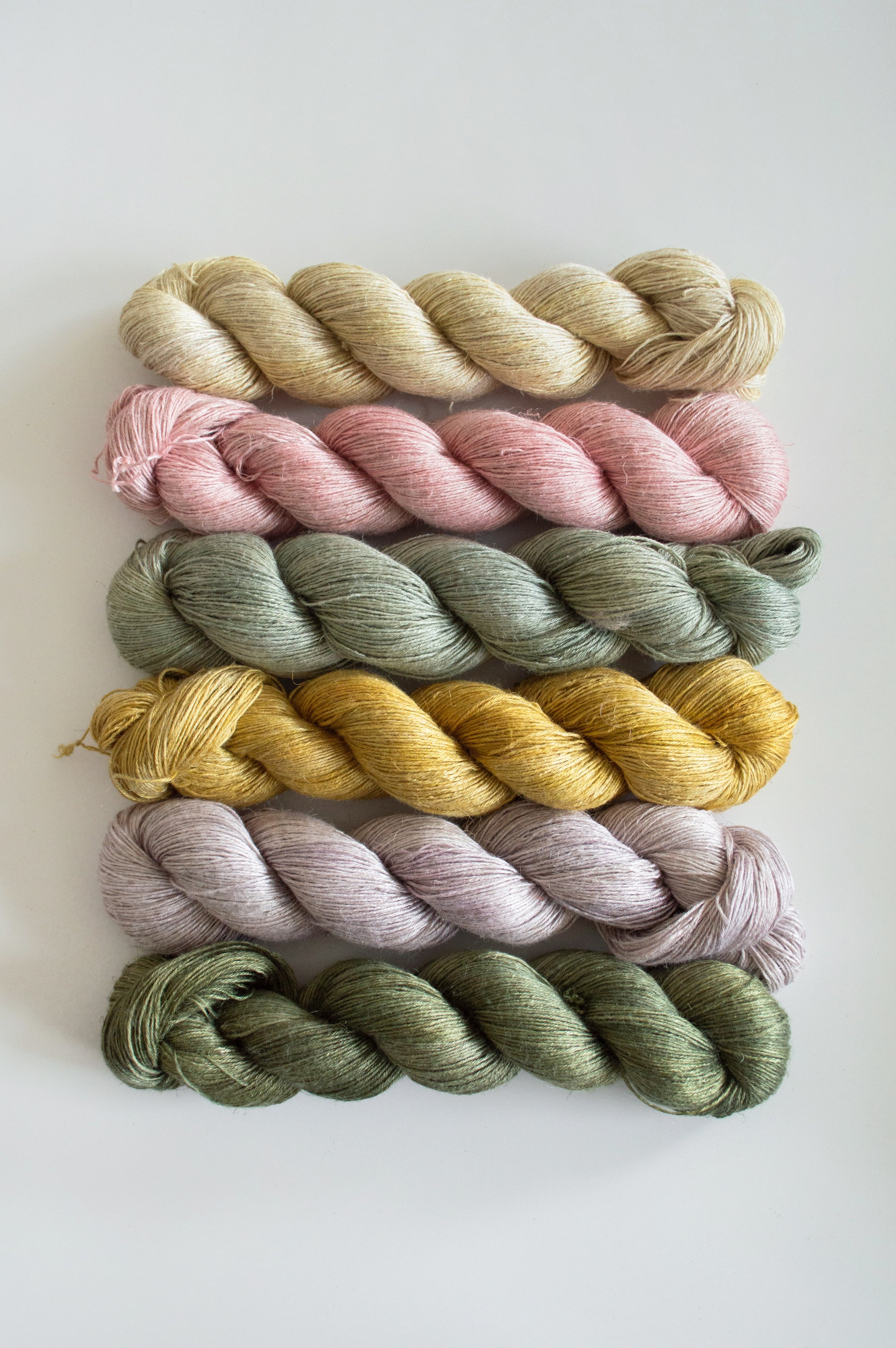 Althea｜Silverleaf